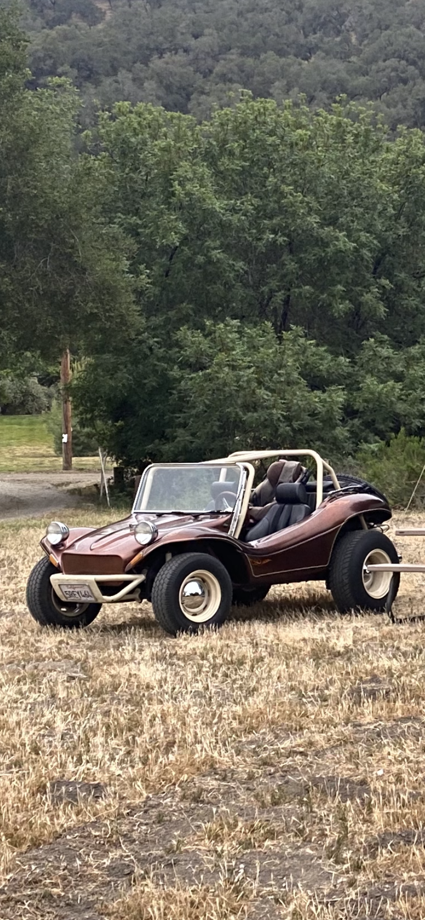 Manx Buggy