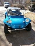 Blue Manx Front