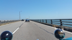 11656195 10204974883474018 607692105 o