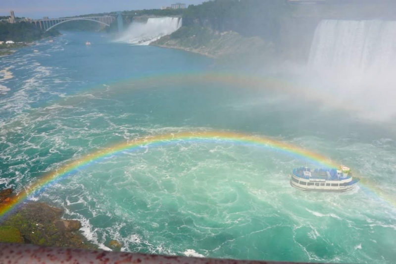 FB IMG 1435379121728