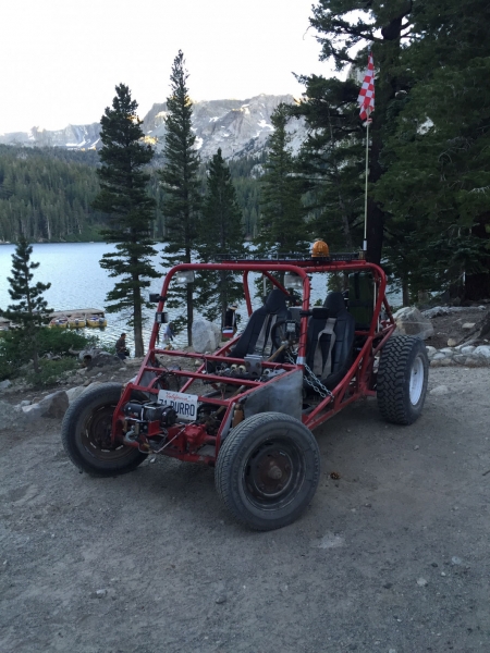 71Burro at Mamoth Lakes 2R081301