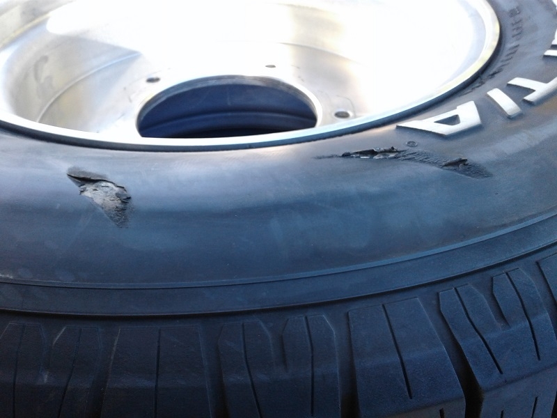 Bruce Meyers signiture wheels pic6