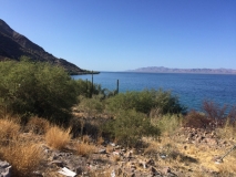 Sea of Cortez