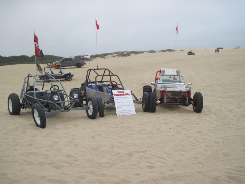 3 Wampusskitties at Pismo 8-18-2018