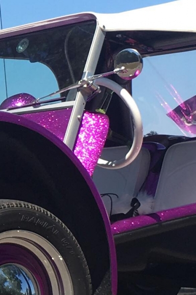 VWAS WIPER ARM PINK TOWD