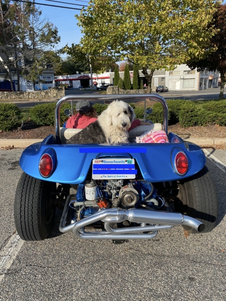 Manx and Remi Cropped