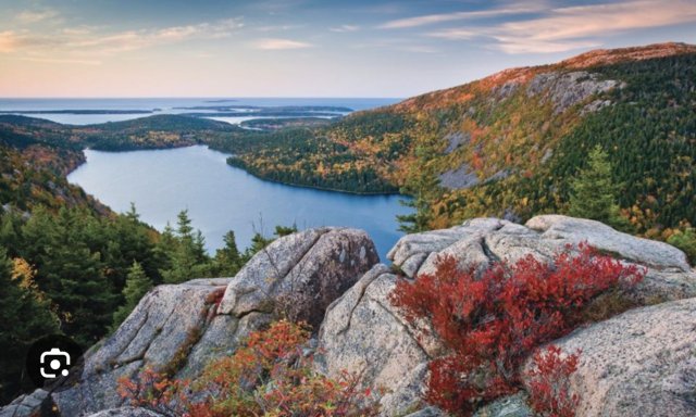 Manx in Acadia, Maine
